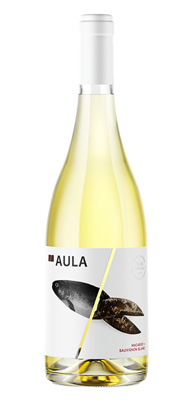 Aula Grupo Coviñas Unisex Aula Macebeo Sauvignon Blanc 2024 - 12% Vol, 0.75Lit