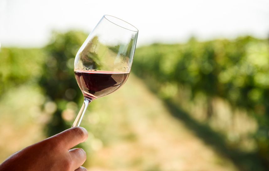 Leichte Weine: Weniger Alkoholgehalt liegt voll im Trend