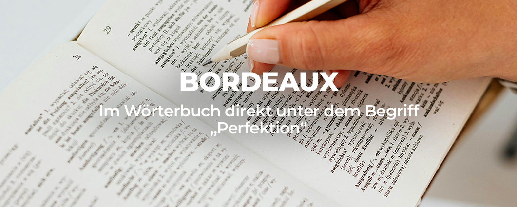 Entdecke die Aktion 