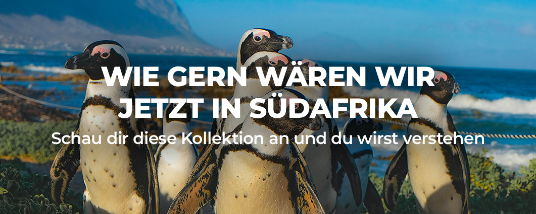 WIE GERN W�REN WIR JETZT IN S�DAFRIKA