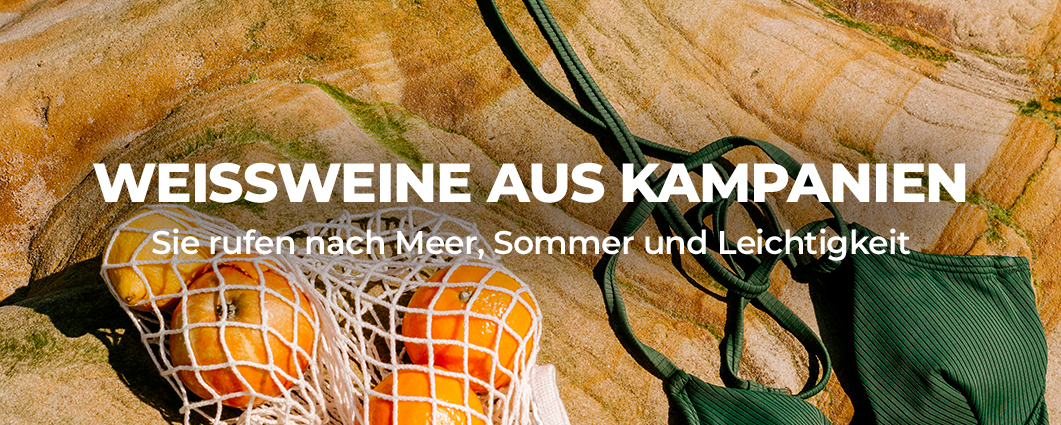 Entdecke die Aktion 