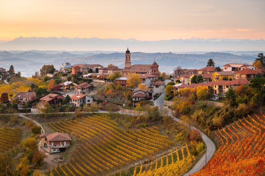 vigneti nelle langhe vigneti nelle langhe